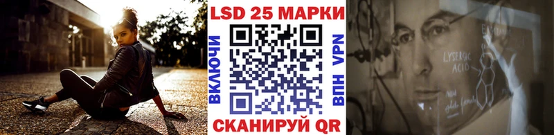OMG ССЫЛКА  купить наркоту  Димитровград  Наркотические марки 1,8мг 